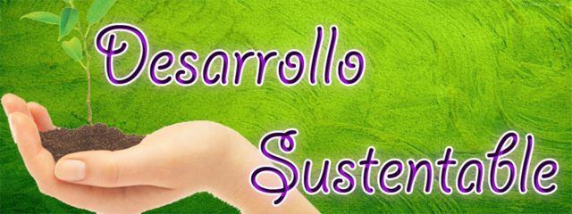 La Comisión Brundtland