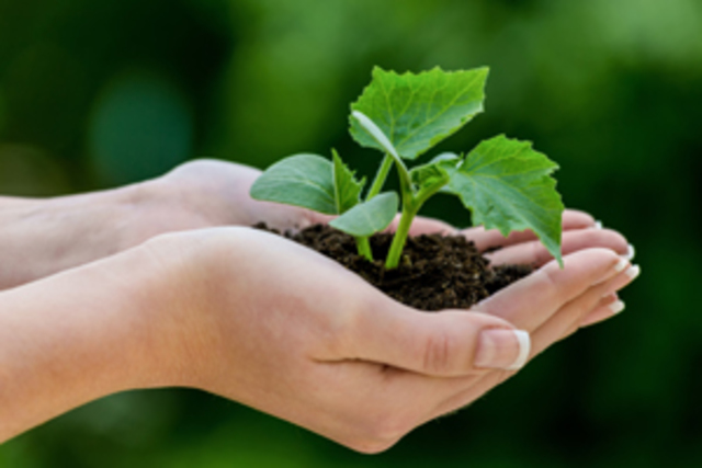 Convención para la protección de plantas