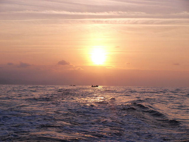 Convención sobre la pesca y conservación de recursos vivos de alta mar.