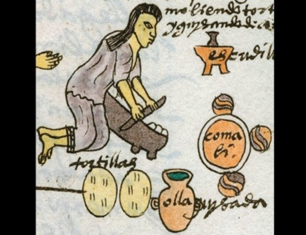 Desarrollo de la farmacología, avance tecnológico y científico