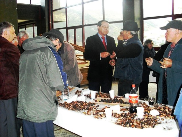 S. Martinho Fair (Portugal)