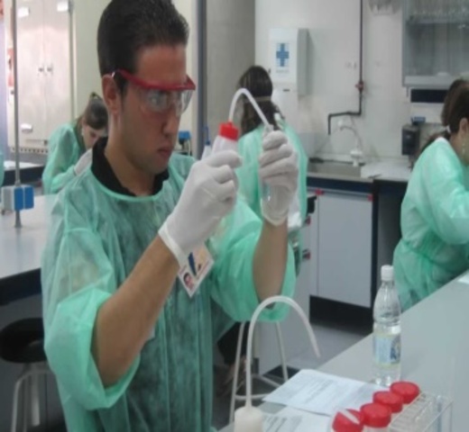 creación del consejo nacional