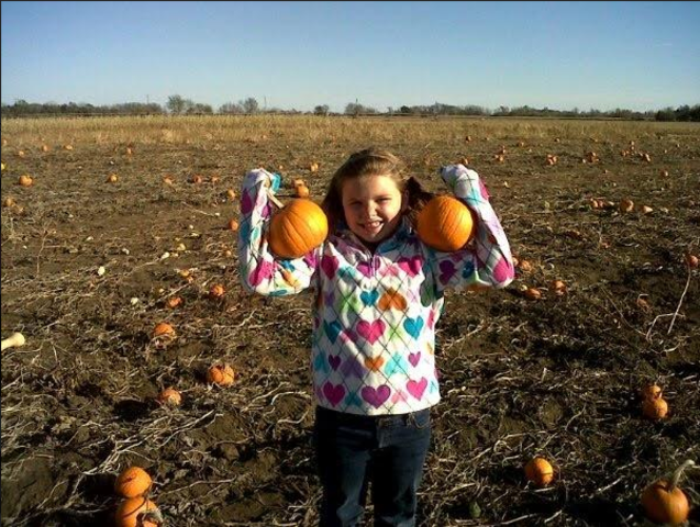 Halloween Pumpkin Patch