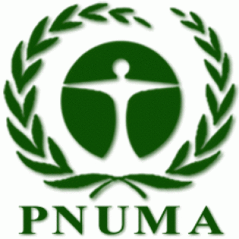 PNUMA