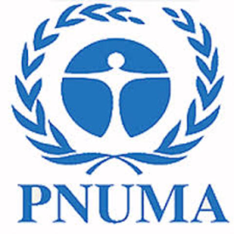 Creación del PNUMA