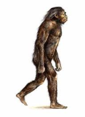 hombre de Neanderthal