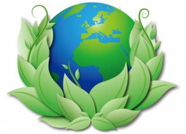 Carta mundial de la naturaleza