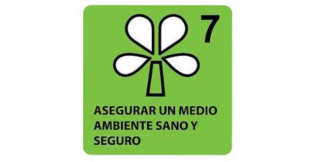 Declaración del milenio