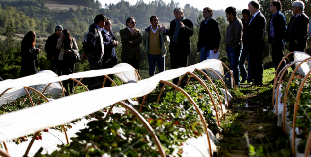 Ratificación del Tratado Internacional sobre Recursos Fitogenéticos