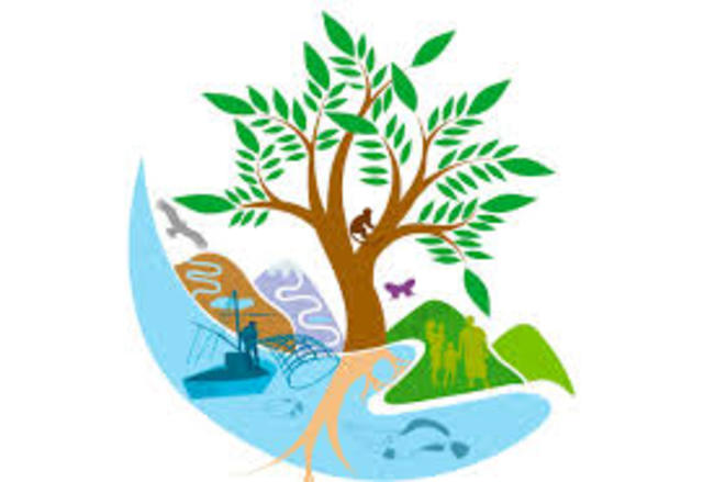 Convenio diversidad Biológica