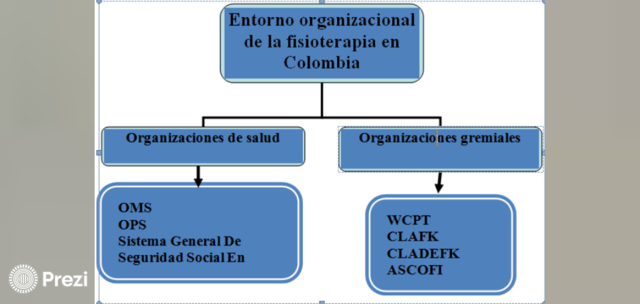 Contexto Organizacional