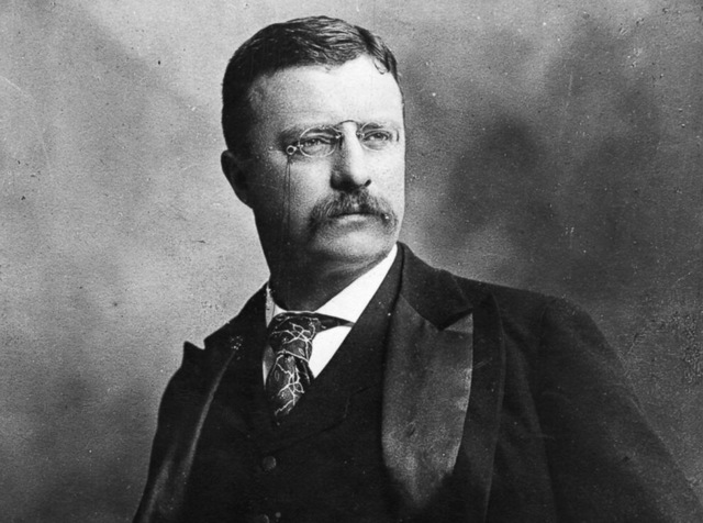Thedore Roosevelt Elected Vice President