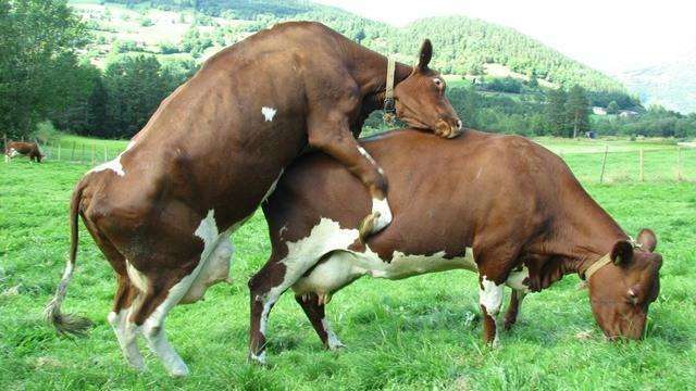 Landskap i forandring