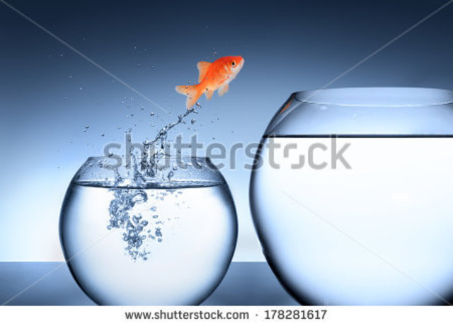 Week Three: CONTENT AREA GROUPING