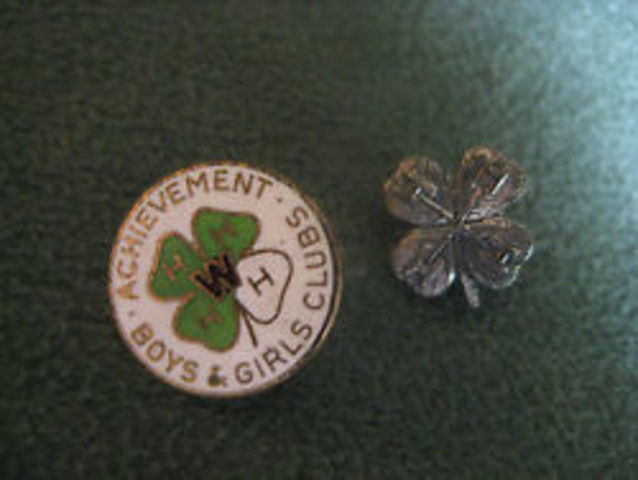 Clover Pin