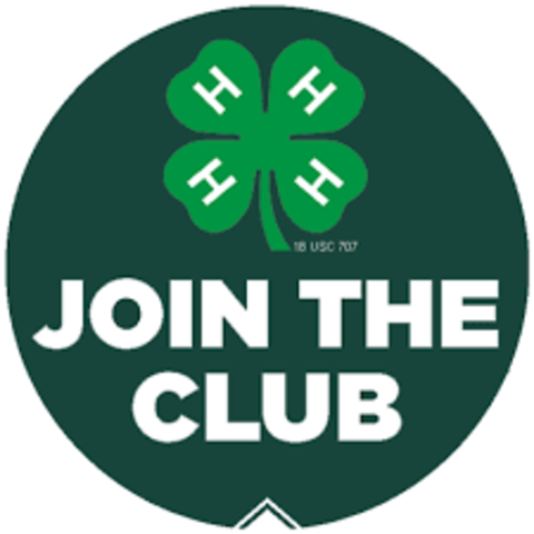 4-H Clubs