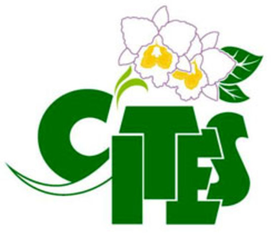 Convención sobre el Comercio Internacional de Especies Amenazadas de Fauna y Flora Silvestres (CITES)