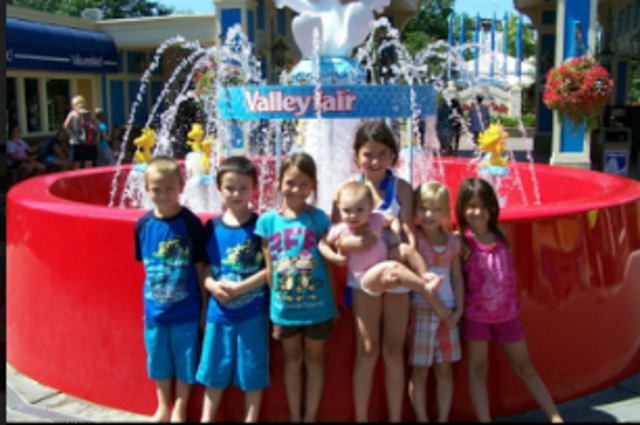 Valley fair