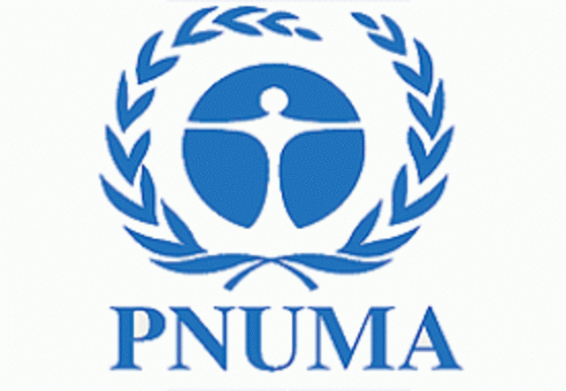 PNUMA