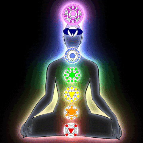 ramas de la filosofia