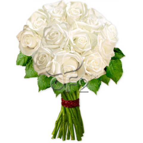 Nick Tells Caitlin To Ditch Elsa