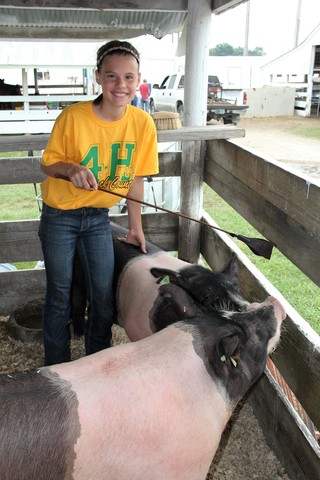 First time hog owner