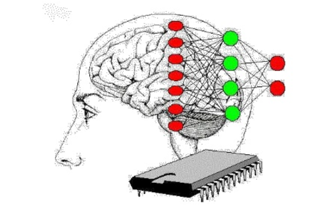 SURGIMIENTO DE UNA RED NEURONAL