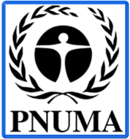 PNUMA