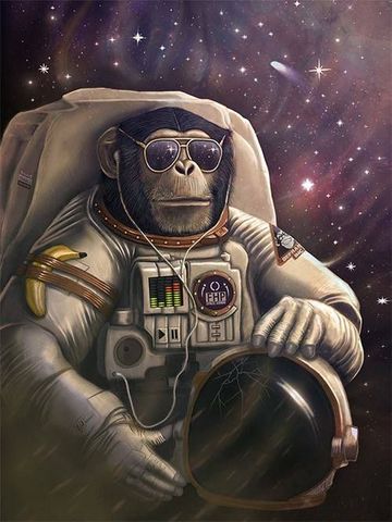 Space Monkey