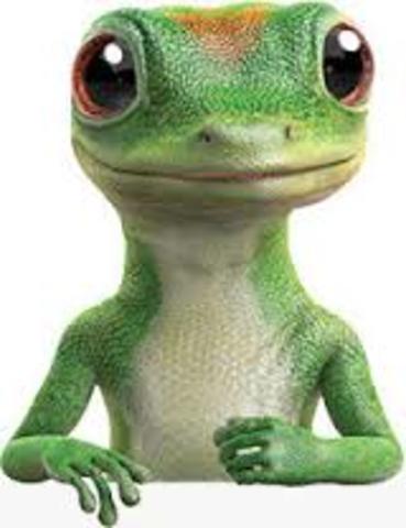 Geico
