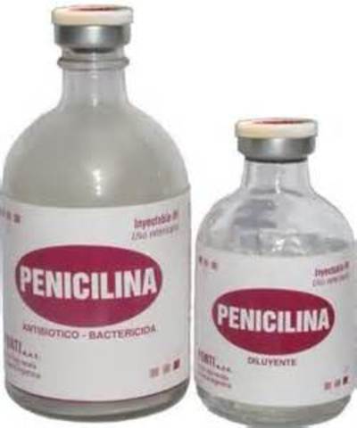 penicilina