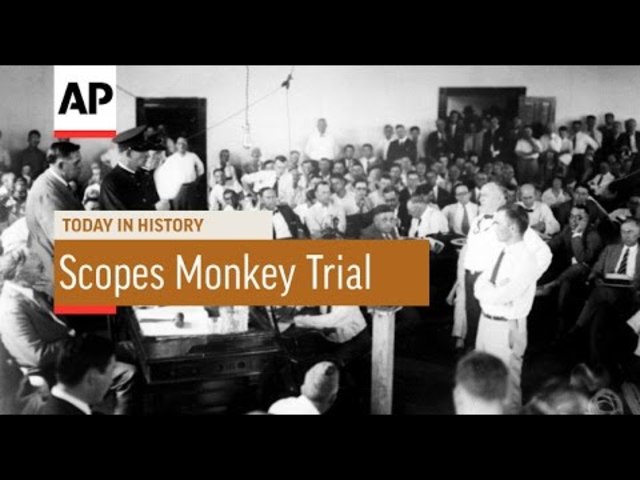 Scopes Monkey Trail Begins