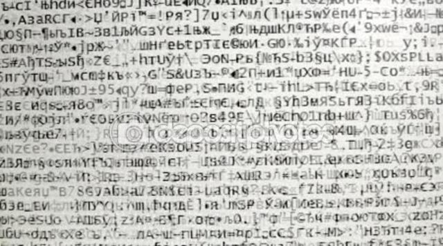 Desarrollo de la idea