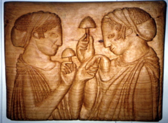 Female Shamanism, Goddess Cultures, and Psychedelics, by Karen Vogel