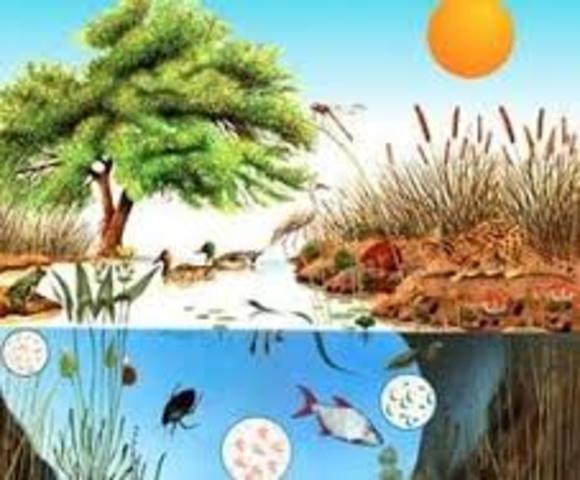 Biodiversidad y ecosistemas