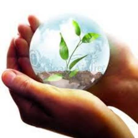 El mejoramiento de la calidad ambiental de vida