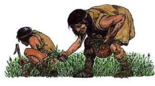 etapa de agricultura