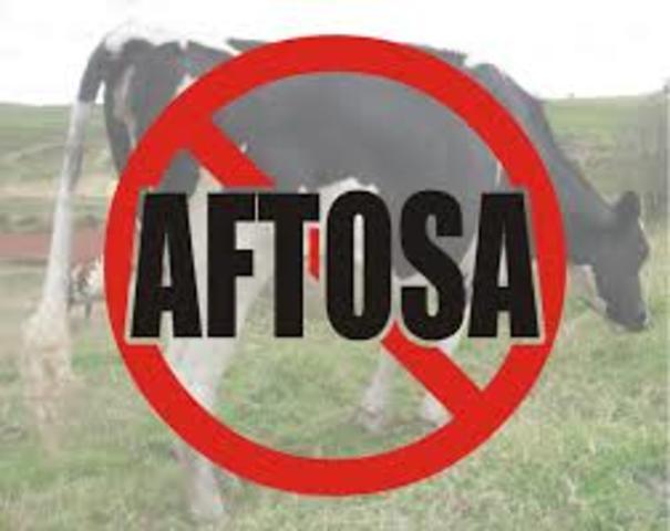 erradicación de fiebre aftosa en Mexico