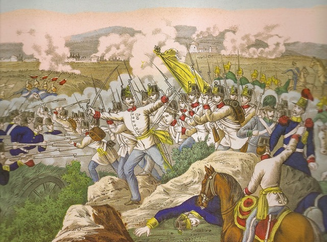 Amadeo I participó en la guerra austro-prusiana.