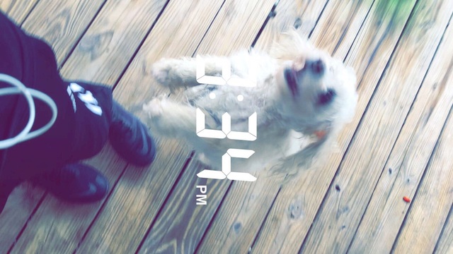 The Familys Very First Pet!