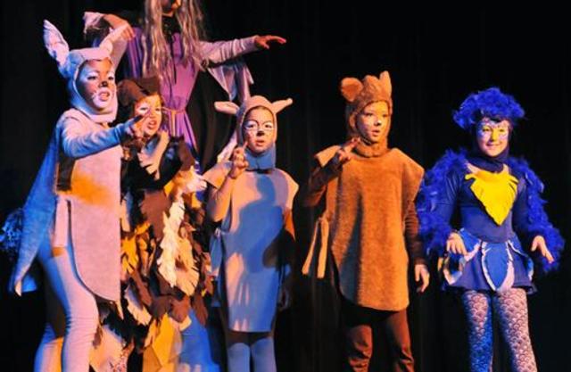 Elementary School Play