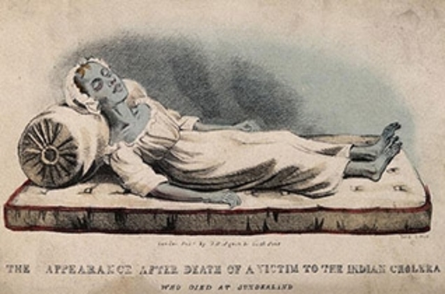 Cholera Epidemic