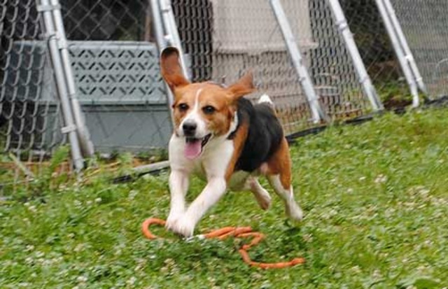 RELAY FOR LIFE MEETING