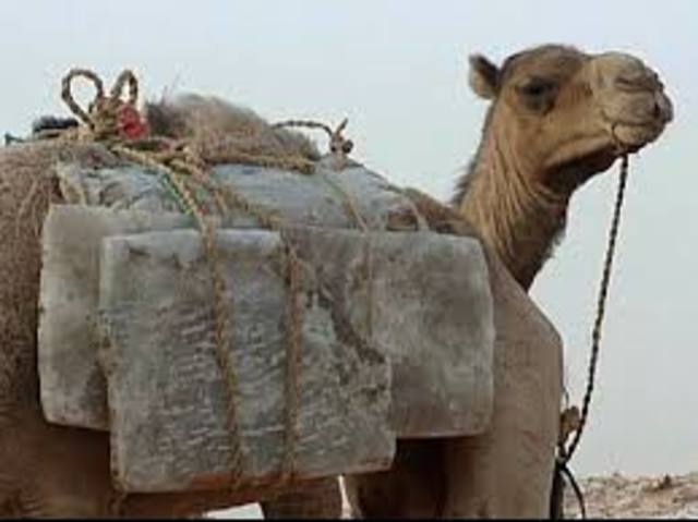 Mali Empire trade with the south