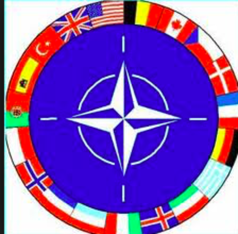 north atlantic treaty organization (nato)