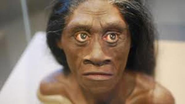 ANTROPOLOGÍA MODERNA