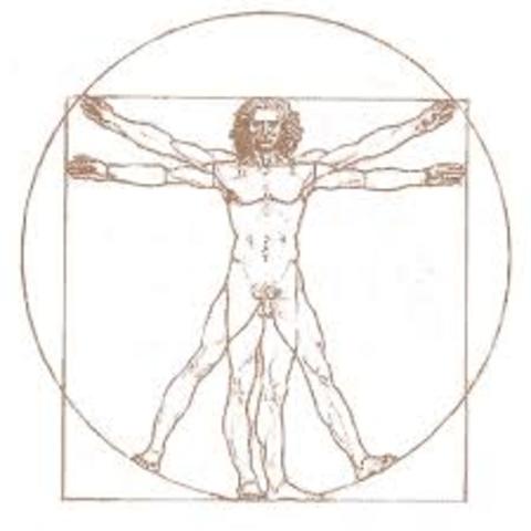 Antropologia moderna