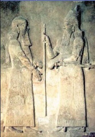 Comienzan las migraciones