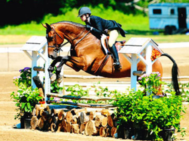 I went to horse camp