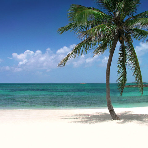 First Time at a Beach